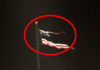 МОЖЕ ЛИ ЈАЧА СИМБОЛИКА? Муња поцепала америчку заставу! (ФОТО) (ВИДЕО) Фото: Twitter video printscreen