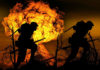 Фото: Pixabay
