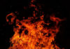 Фото: Pixabay