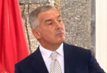 МОЖДА ЈЕ ОВО ОДГОВОР НА МИЛОВО ЛУДИЛО: Ђукановићева имерија ПРЕД БАНKРОТОМ, гомила губитке и губи разум!