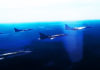 Фото: Youtube printscreen