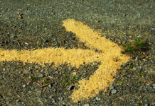 Фото: Pixabay