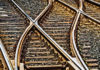Фото: Pixabay
