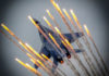 Фото: Pixabay