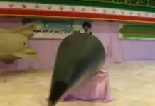 Фото: Twitter video printscreen