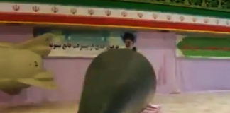 Фото: Twitter video printscreen