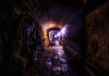 Фото: Pixabay