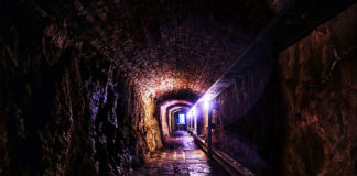 Фото: Pixabay