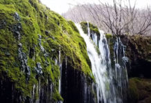 Фото: Youtube printscreen