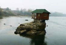 Фото: Youtube printscreen