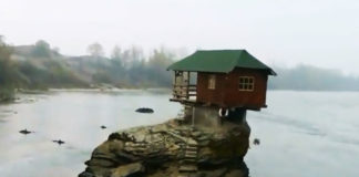 Фото: Youtube printscreen