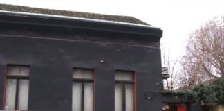 Фото: Youtube printscreen