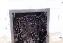 Фото: Twitter video printscreen