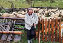 РАЈСКА ВИСОРАВАН ВЕЛИКА БРЕЗОВИЦА: Од зеленила застаје дах у грудима, а хук воде из набујале реке чује се до најудаљенијих колиба Фото: predsednik.rs