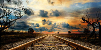 Фото: Pixabay