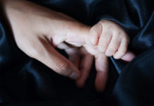 Фото: Pixabay
