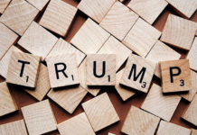 Фото: Pixabay