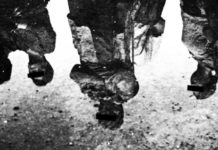 ДОУШНИЦИ: Ко домаће патриотске портале “тужака“ Западним невладиним организацијама? Фото: Pixabay