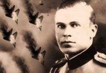 ОБОРИО 7 НЕМАЧКИХ АВИОНА! Да ли сте чули за Душана Петровића Бороша, команданта Нишавског корпуса Југословенске војске у Отаџбини?