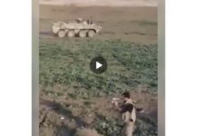 (УЗНЕМИРУЈУЋИ ВИДЕО) Тела јерменских војника разбацана, остављена да труле! Глас у позадини згрозио све