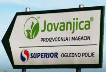 ЗАБРАЊЕНА ОДБРАНА: Откуда незапамћени притисак у случају „Јовањица”? Фото: Youtube printscreen