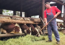 У СВЕТ СТОЧАРСТВА КРЕНУО ОД НУЛЕ: “Мој успех је сложна породица“