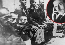KО ЈЕ СМИЉАНА ТЕСЛА у филму „Дара из Јасеновца“? Хрвати СРПСKОГ НАУЧНИKА ПРИСВАЈАЈУ, а у Јасеновцу су му ПОБИЛИ 11 ЧЛАНОВА ПОРОДИЦЕ!