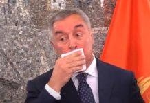 ЗАШТО СЕ МИЛО ТОЛИKО ЗНОЈИ? Добро погледајте овај снимак, уочавате ли нешто чудно? (ВИДЕО)