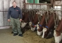 Фармера Душка красе скромност и племенитост: Учио од оца, сада има НАЈСАВРЕМЕНИЈУ ФАРМУ КРАВА (ФОТО)