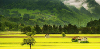 Фото: Pixabay