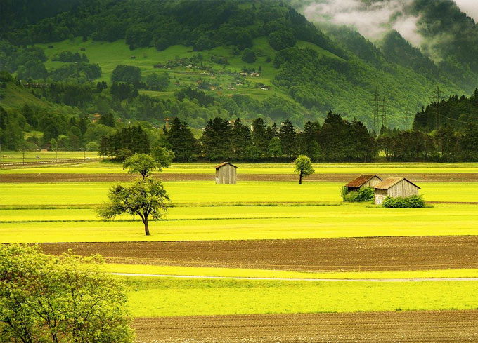 Фото: Pixabay Фото: Pixabay