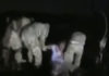 Фото: Youtube printscreen