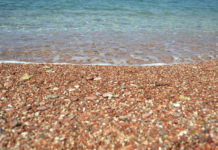 Фото: Pixabay