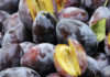 Фото: Pixabay
