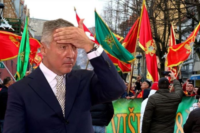 milo-i-komite