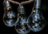 Фото: Pixabay