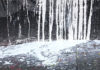 Фото: Youtube printscreen