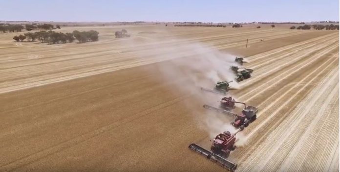 Harvest-Australia