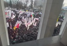 СРПКИЊА ИЗ КИЈЕВА ЈАВЉА: „Ми смо већ у рату“