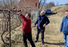 Миша Вацић орезао лозу и пресекао славски колач: „Данас је Свети Трифун, а НЕ ДАН ЗАЉУБЉЕНИХ“ (ВИДЕО)