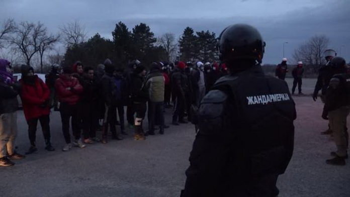 migranti