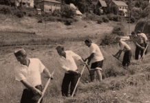 Ево где грешимо: НИЈЕ ДОВОЉНО САМО ЧУВАТИ ТРАДИЦИЈУ!