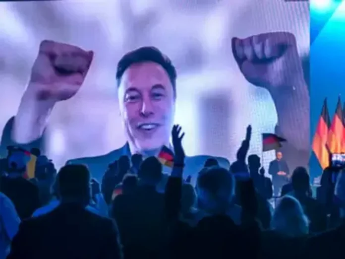 musk afd