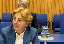 Доловац на „бућку“ хтела да подметне Влади именовање представника Србије у Еуроџасту, мимо одлуке ВСТ