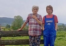 Повратничкој породици Гушић код Хан Пијеска, гром је убио стадо од којег живе